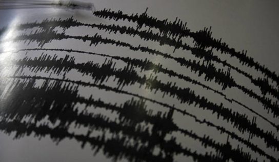 Sismo de magnitud 4.2 se registra en Acapulco, Guerrero