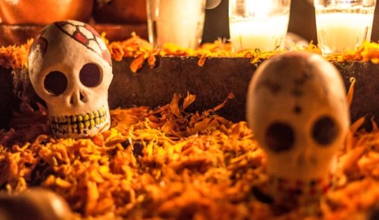 Festival del Día de Muertos, Unidos en un solo sentir