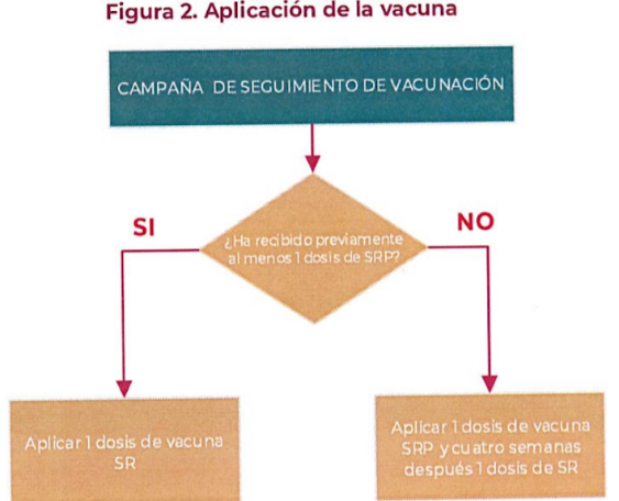 campaña-Sarampión-Rubeola-el-infográfico