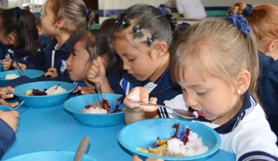 Alimentación escolar más sabrosa: una buena política pública para conmemorar el Día de la Gastronomía Sostenible