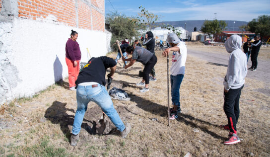 Municipio de El Marqués arranca el Programa de Reforestación 2023