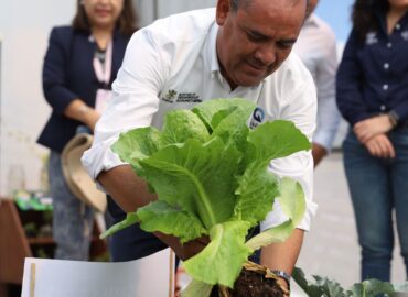 Reforesta SEDEA la Universidad Tecnológica de San Juan del Rio