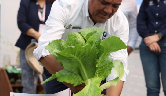 Reforesta SEDEA la Universidad Tecnológica de San Juan del Rio