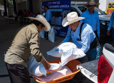 Municipio de El Marqués entrega semilla de frijol de temporal a 143 productores