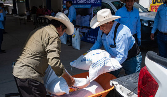 Municipio de El Marqués entrega semilla de frijol de temporal a 143 productores