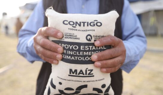 Entrega SEDEA maíz para consumo humano en San Juan del Río