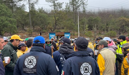 Controlado en 95 por ciento incendio en El Madroño