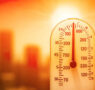 Llama SESA a la población a prevenir daños por altas temperaturas
