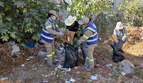 Realiza gobierno municipal de El Marqués jornada integral de limpieza en La Providencia, Saldarriaga