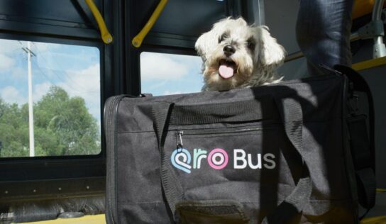 Anuncia Cuanalo Santos jornada de afiliación de mascotas al programa PetFriendly del sistema Qrobus