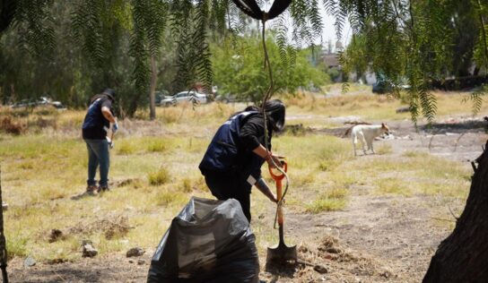 Querétaro impulsa la convivencia con más de seis mil 700 faltas atendidas y 600 trabajos comunitarios