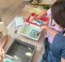Invita la SECULT a sus talleres y cursos de verano