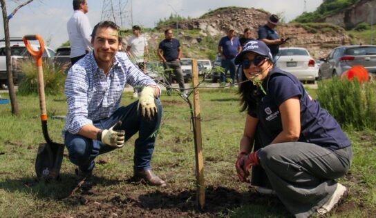 Realiza Municipio de Querétaro jornada de reforestación en BLOQUE