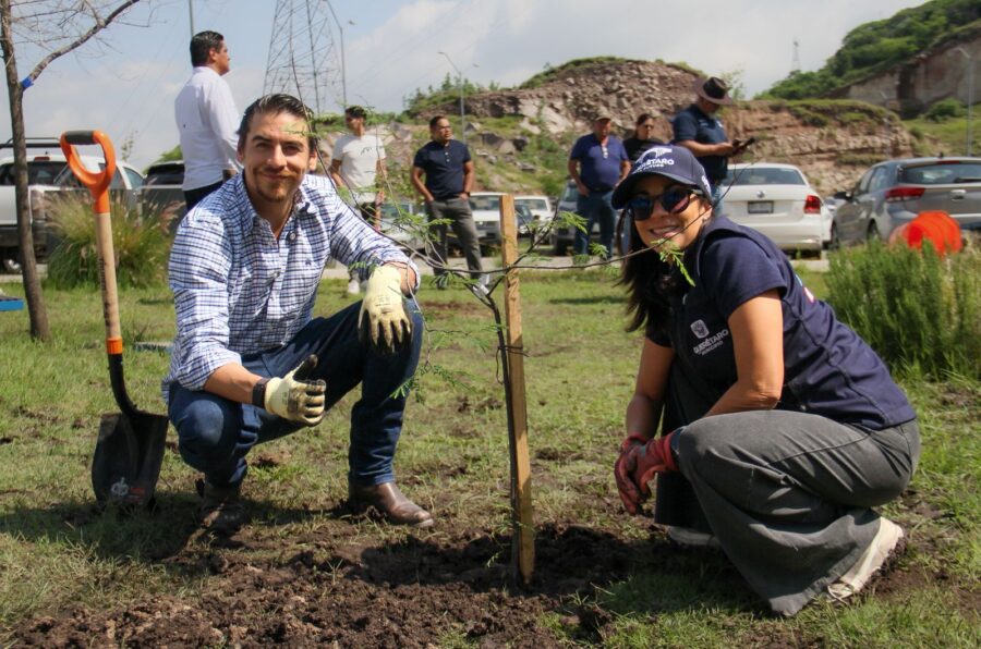 Realiza Municipio de Querétaro jornada de reforestación en BLOQUE