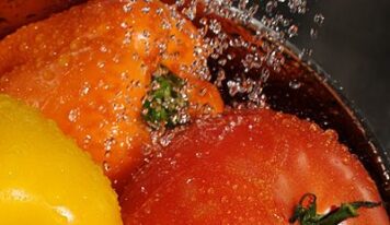 Fortalece SESA medidas para la preparación higiénica de los alimentos y la prevención de enfermedades