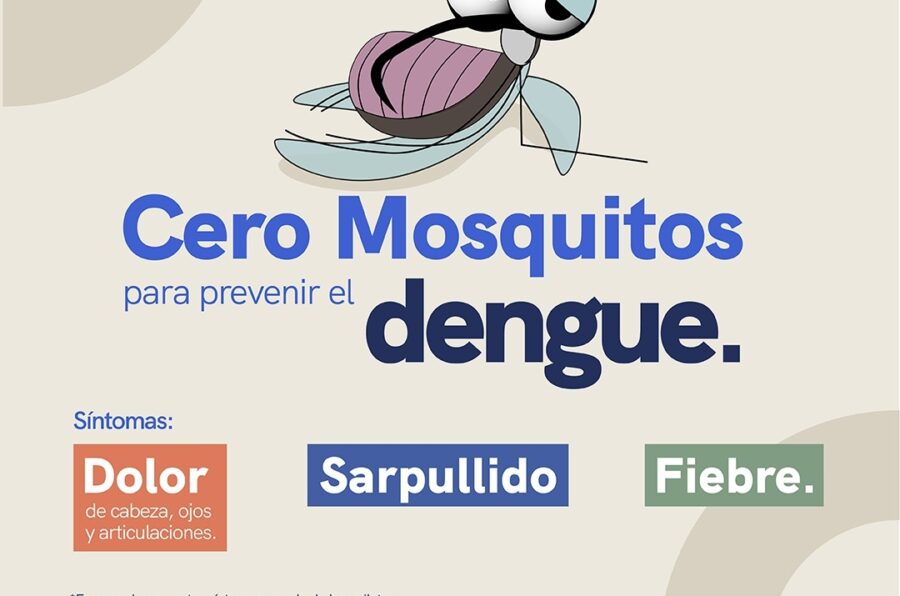 Mantiene SESA acciones de vigilancia y prevención contra el dengue