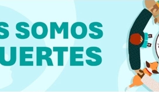 Vacunar y actuar a tiempo: acciones que salvan vidas ante la rabia